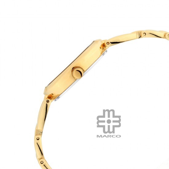 Titan Raga 2642YM01 Viva Gold Dial Metal Strap Quartz Women's Watch