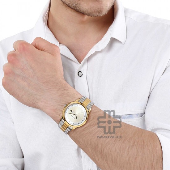 Titan Karishma 1584BM02 Stainless Steel Quartz Men's Watch