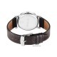 Titan Karishma Zing 1644SL01 Brown Dial Leather Strap Quartz Men's Watch