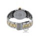 Titan Quartz 1650BM03 Silver Dial Stainless Steel Strap Quartz Men's Watch
