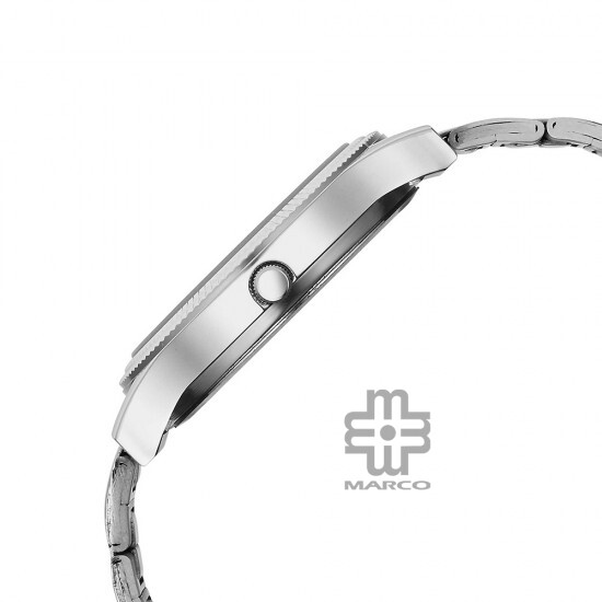 Titan Quartz 1650SM02 Silver Dial Stainless Steel Strap Men Watch