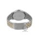 Titan Quartz 1774BM01 Silver Dial Stainless Steel Strap Quartz Men's Watch