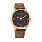 Titan Neo Basic 1802WL03 Brown Dial Leather Strap Quartz Men's Watch