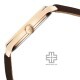 Titan Neo Basic 1802WL03 Brown Dial Leather Strap Quartz Men's Watch