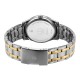 Titan Quartz 1823BM03 Silver Dial Stainless Steel Strap Quartz Men's Watch