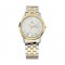 Titan Karishma 1824BM01 Silver Dial Stainless Steel Strap Quartz Men's Watch