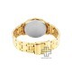 Titan Karishma 1825YM12 Champagne Dial Stainless Steel Strap Men's Watch