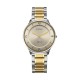 Titan Edge Gleam 1843BM01 Champagne Dial Stainless Steel Strap Men Watch