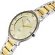 Titan Edge Gleam 1843BM01 Champagne Dial Stainless Steel Strap Men Watch