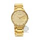 Titan Edge Gleam 1843YM02 Gold Dial Stainless Steel Strap Men Watch