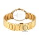 Titan Edge Gleam 1843YM02 Gold Dial Stainless Steel Strap Men Watch