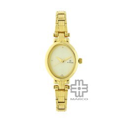 Titan Quartz 2535YM01 Champagne Dial Stainless Steel Strap Quartz Women's Watch