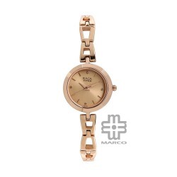 Titan Raga 2540WM06 Beige Dial Metal Strap Quartz Women's Watch