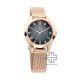 Titan Sparkle 2565WM01 Black Dial Stainless Steel Mesh Strap Quartz Women's Watch