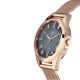 Titan Sparkle 2565WM01 Black Dial Stainless Steel Mesh Strap Quartz Women's Watch Titan Sparkle 2565WM01 Black Dial Stainless Steel Mesh Strap Quartz Women's Watch
