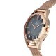 Titan Sparkle 2565WM01 Black Dial Stainless Steel Mesh Strap Quartz Women's Watch