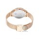 Titan Sparkle 2565WM01 Black Dial Stainless Steel Mesh Strap Quartz Women's Watch