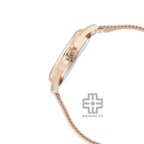 Titan Workwear 2565WM02 Beige Dial Stainless Steel Strap Quartz Women's Watch