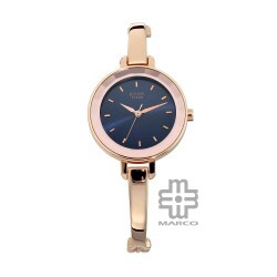 Titan Quartz 2575WM02 Blue Dial Metal Strap Quartz Women's Watch
