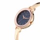 Titan Quartz 2575WM02 Blue Dial Metal Strap Quartz Women's Watch Titan Quartz 2575WM02 Blue Dial Metal Strap Quartz Women's Watch