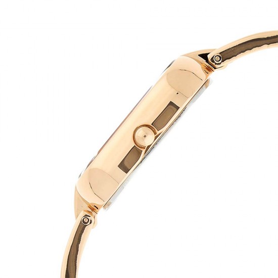 Titan Raga Viva 2577WM01 Rose Gold Dial Metal Strap Quartz Women's Watch