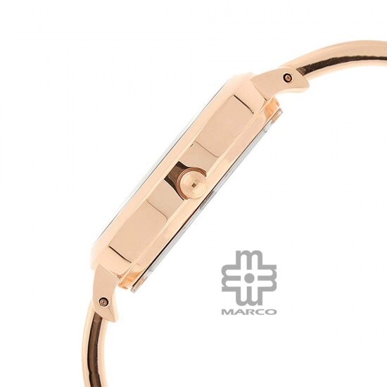 Titan Raga Viva 2578WM01 Rose Gold Dial Metal Strap Quartz Women's Watch