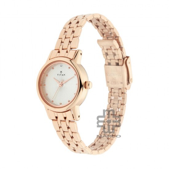 Titan Quartz 2593WM01 Silver Dial Stainless Steel Strap Quartz Women's Watch