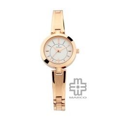 Titan Quartz 2598WM01 Silver Dial Metal Strap Women Watch
