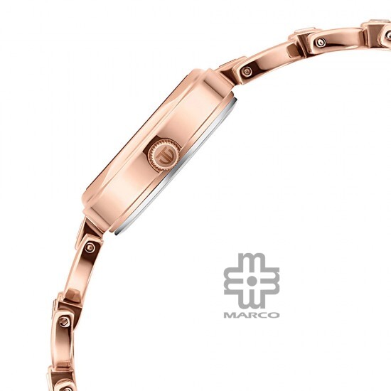 Titan Lagan 2601WM04 Brown Dial Metal Strap Quartz Women's Watch