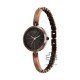 Titan Raga Viva 2606QM03 Brown Dial Metal Strap Quartz Women's Watch