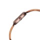 Titan Raga Viva 2606QM03 Brown Dial Metal Strap Quartz Women's Watch