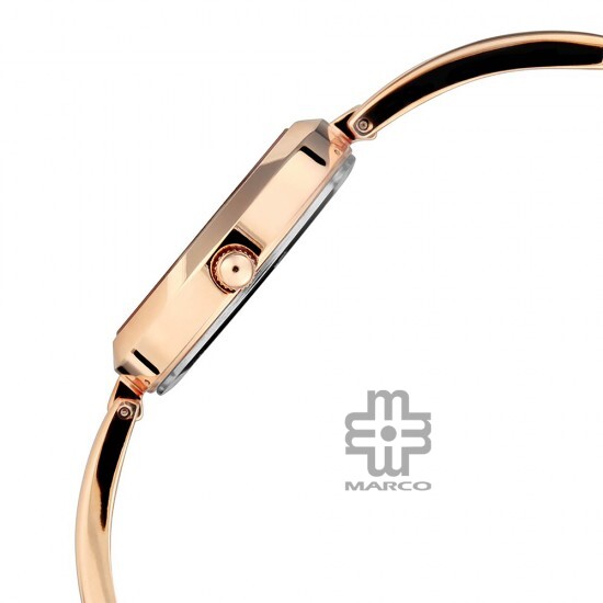 Titan Raga Viva 2606WM05 Rose Gold Dial Metal Strap Quartz Women's Watch