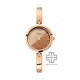 Titan Raga Viva 2606WM07 Rose Gold Dial Metal Strap Quartz Women's Watch