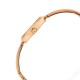 Titan Raga Viva 2606WM07 Rose Gold Dial Metal Strap Quartz Women's Watch