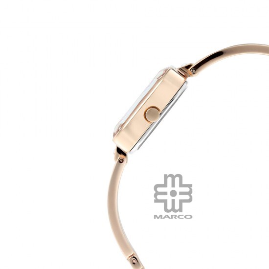 Titan Raga Viva 2607WM01 Rose Gold Dial Metal Strap Quartz Women's Watch
