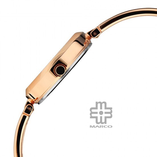 Titan Raga Viva 2622WM01 Rose Gold Dial Metal Strap Quartz Women's Watch