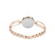 Titan Raga Viva 2622WM01 Rose Gold Dial Metal Strap Quartz Women's Watch