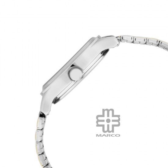 Titan Quartz 2638BM01 Silver Dial Stainless Steel Strap Women's Watch