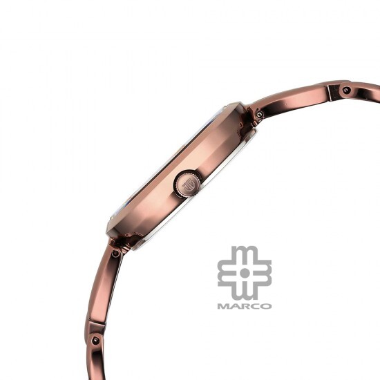 Titan Raga Viva 2642QM01 Rose Gold Dial Brown Metal Strap Quartz Women's Watch