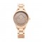 Titan Wander 2649WM03 Brown Dial Stainless Steel Strap Quartz Women's Watch
