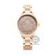 Titan Wander 2649WM03 Brown Dial Stainless Steel Strap Quartz Women's Watch