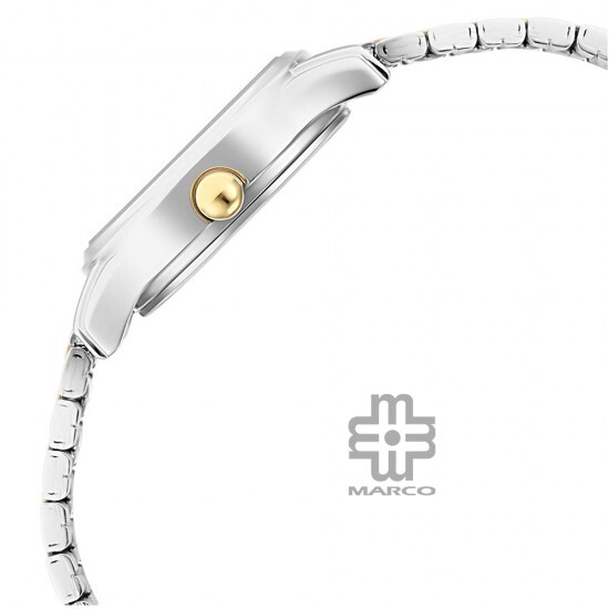 Titan Lagan 2656BM01 Silver Dial Metal Strap Quartz Women's Watch