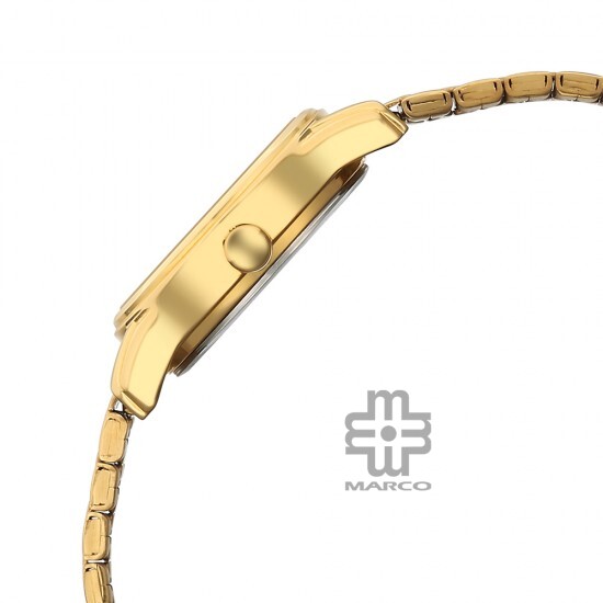 Titan Lagan 2656YM02 Gold Dial Stainless Steel Strap Quartz Women's Watch