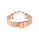 Titan Raga Viva 2665WM01 Brown Dial Stainless Steel Strap Quartz Women's Watch