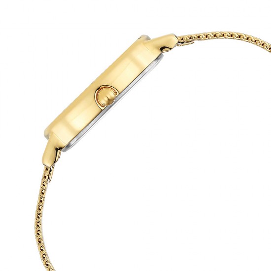 Titan Raga Viva 2665YM01 Champagne Dial Metal Strap Quartz Women's Watch