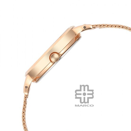 Titan Raga Power Pearls 2666WM01 Mother of Pearl Dial Metal Strap Quartz Women's Watch