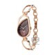 Titan Raga Chic 2688WM01 Brown Dial Metal Strap Quartz Women's Watch