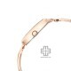 Titan Raga Chic 2688WM01 Brown Dial Metal Strap Quartz Women's Watch