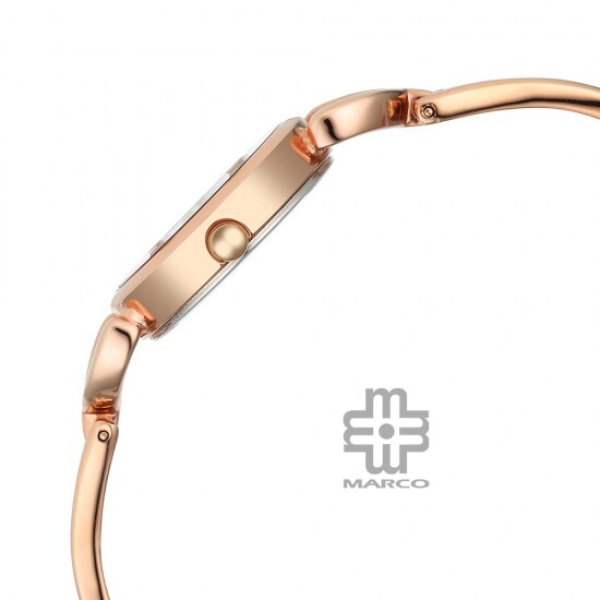 Titan Raga 2724WM01 Rose Gold Dial Metal Strap Quartz Women's Watch