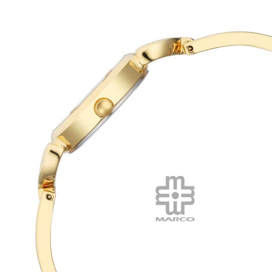 Titan Raga 2724YM01 Champagne Dial Metal Strap Quartz Women's Watch
